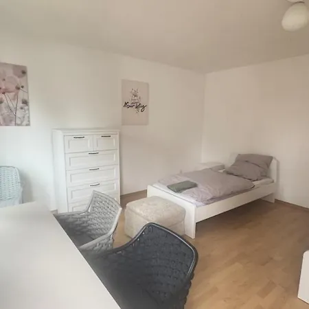 Modern Near Frankfurt Bitte Nur Ueber Air-bnb Buchen -perfect Location * Neu-Isenburg